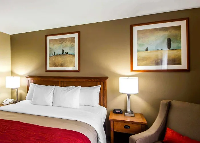 Comfort Inn & Suites Ponca City Near Marland Mansion